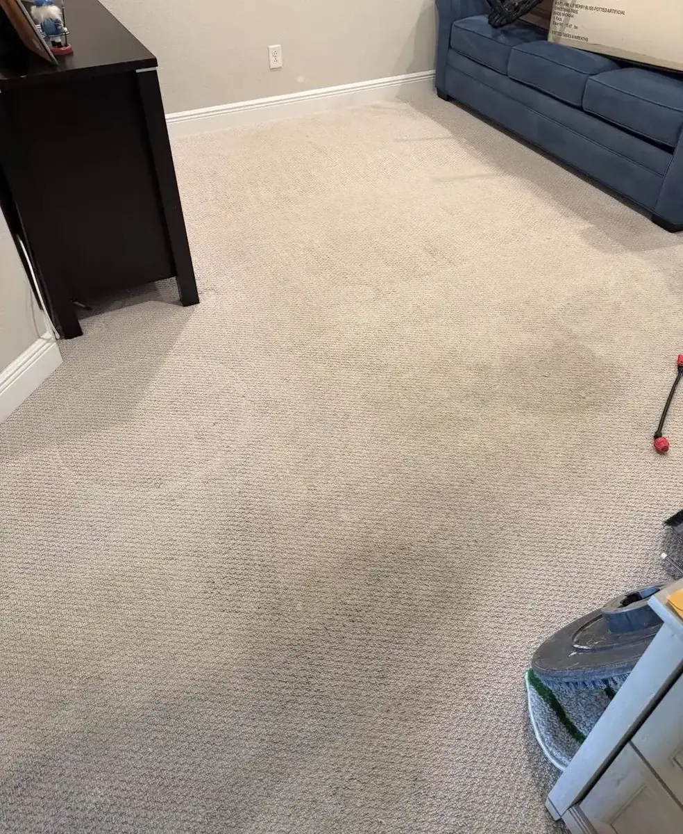 Carpet restoration