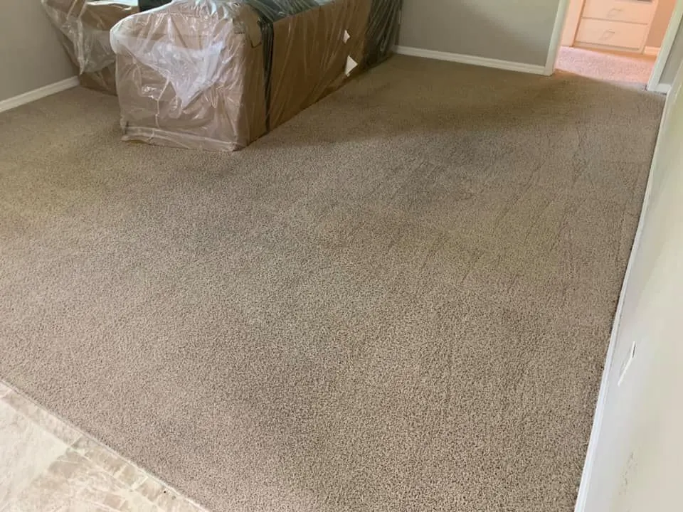 The same bedroom carpet after hot water extraction