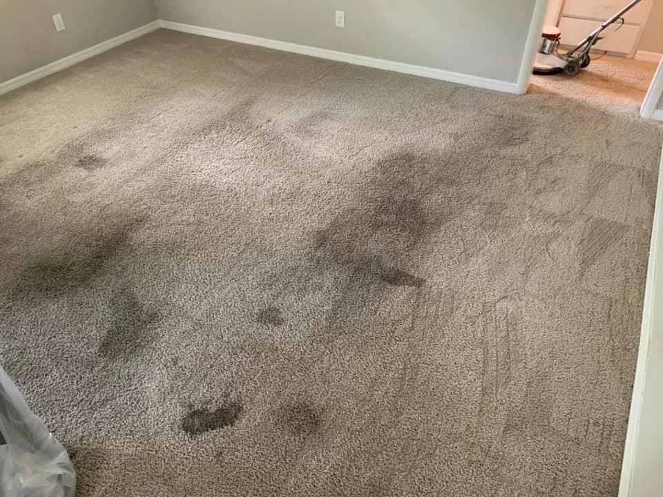 Bedroom carpet before cleaning with dark traffic staining